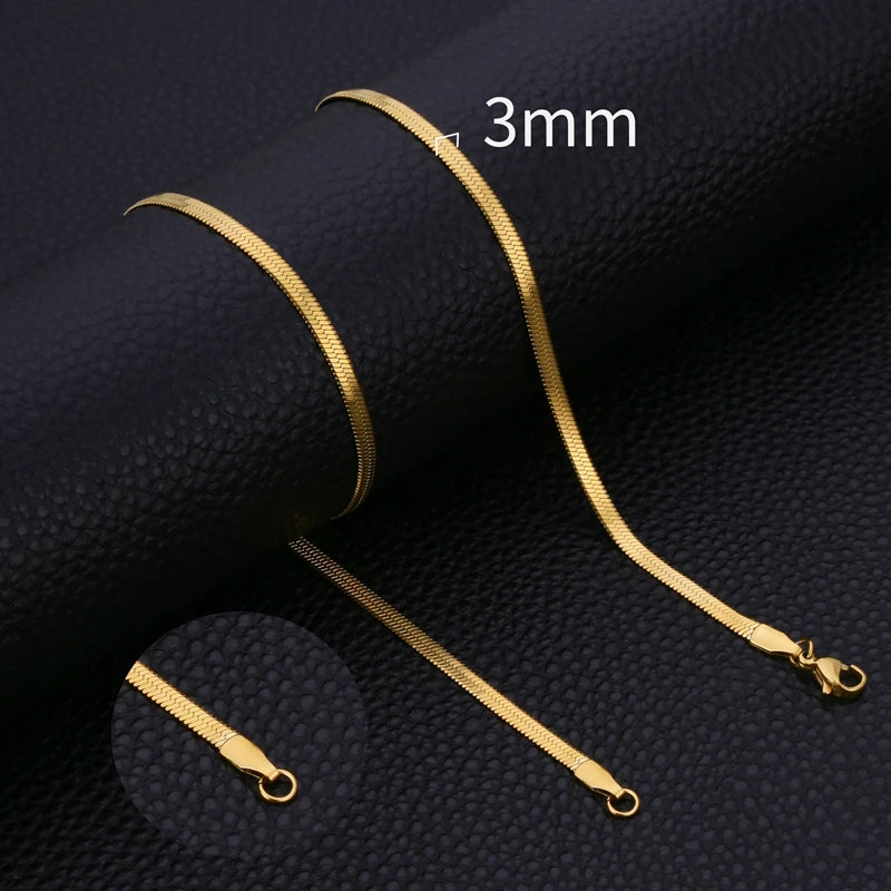 48921149178167|48921149210935|48921149243703|48921149407543