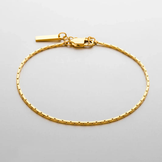 Pulseira Dominus