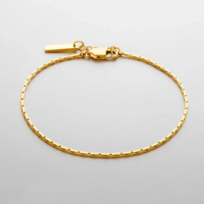 Pulseira Dominus
